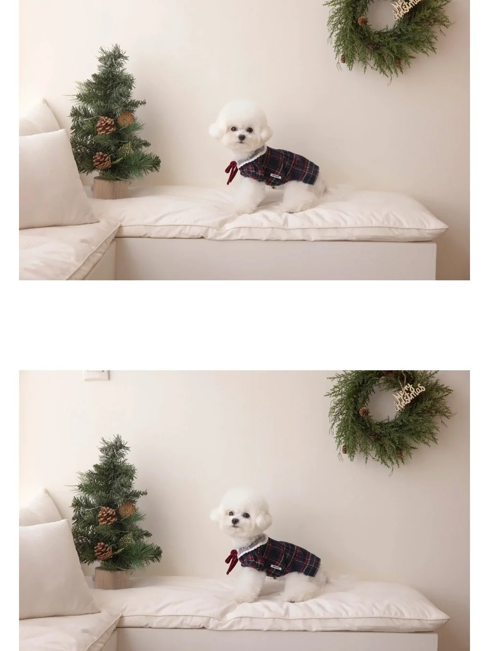 Plaid Lace-Collar Dog Dress with Velvet Bow - White & Red